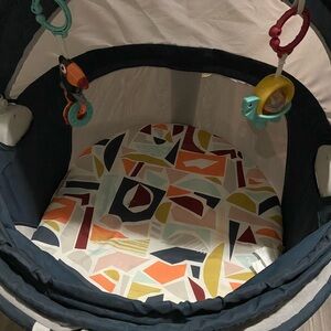 Fisher-Price Multicolor Baby Activity Gym